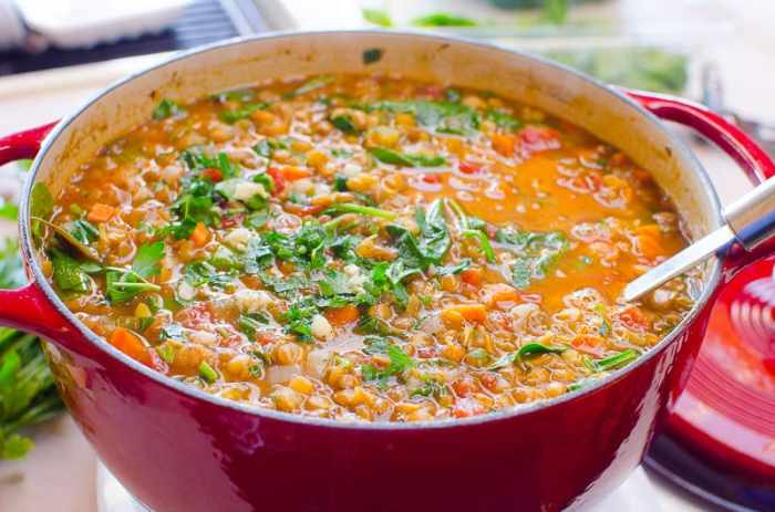 Lentil soup spinach recipe